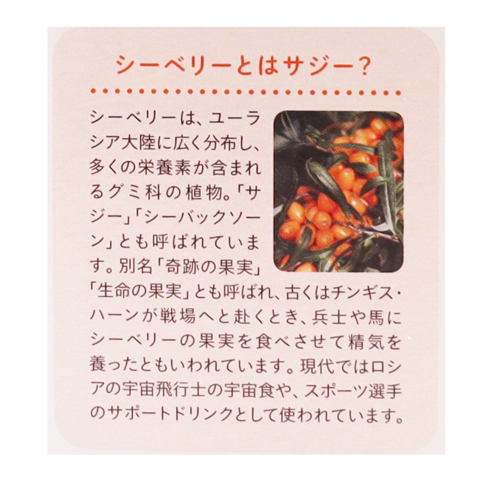 北欧産プレミアムシーベリージュース250ml