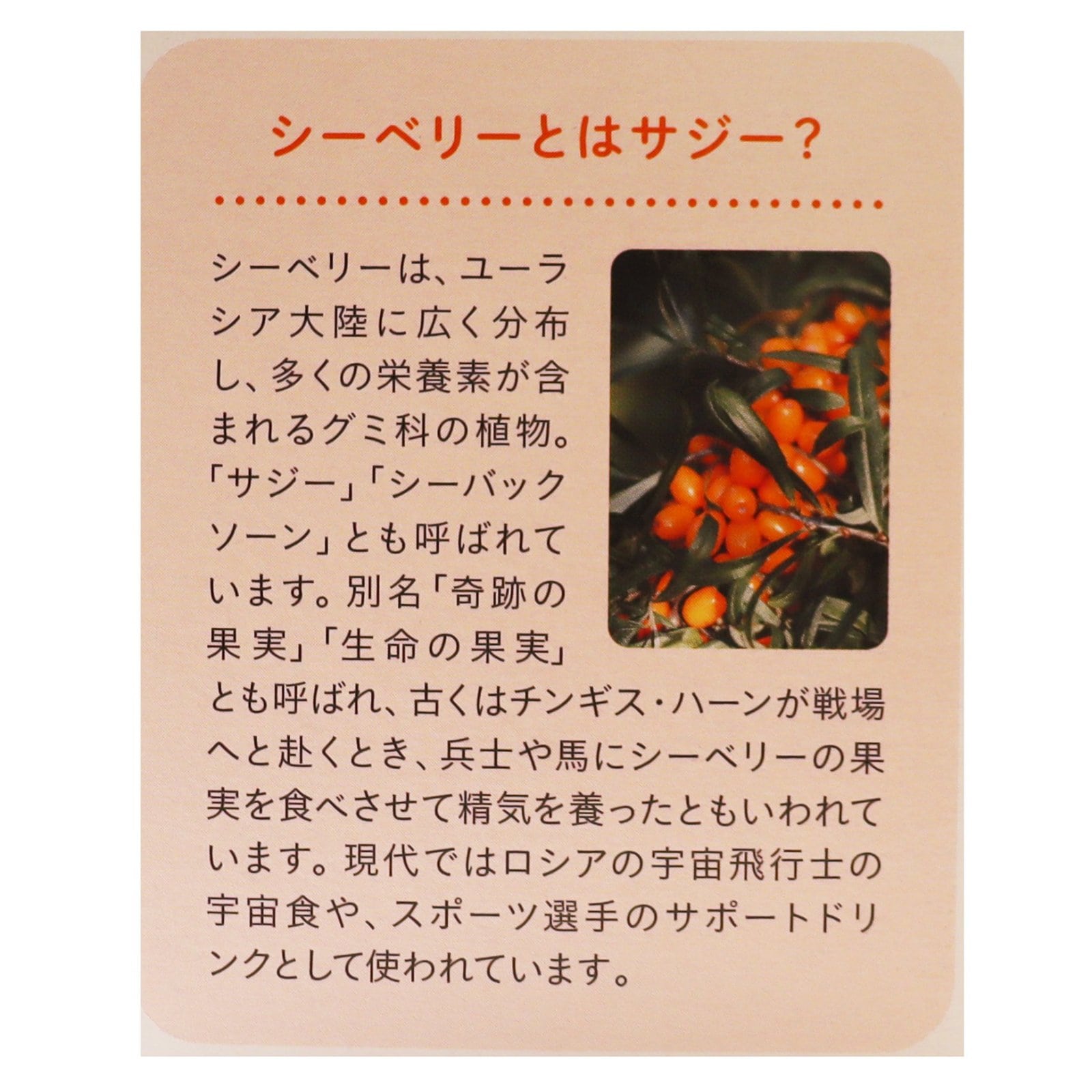 北欧産プレミアムシーベリージュース500ml