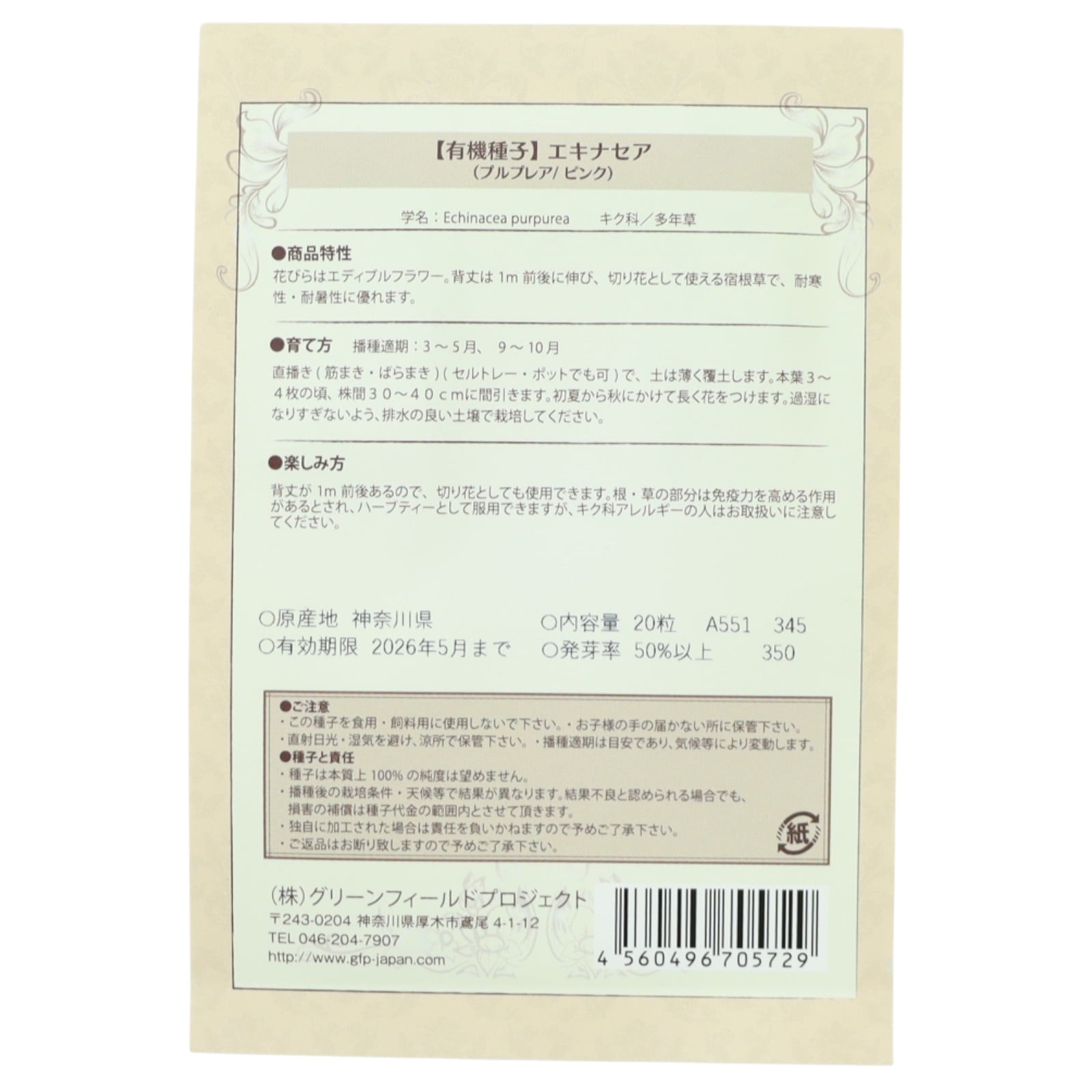 野菜タネ　エキナセア / ムラサキバレンギク