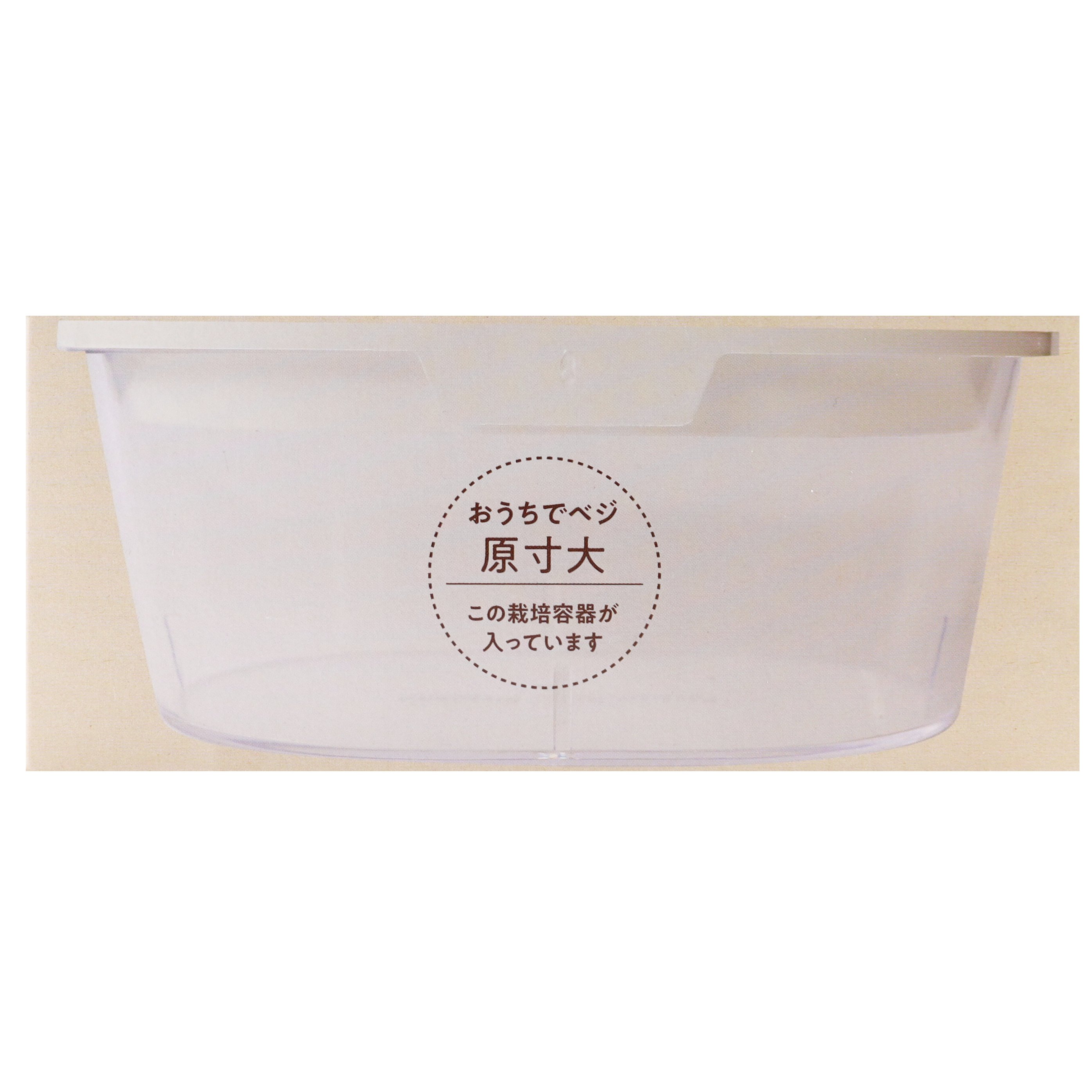 おうちでベジ栽培キット　ブロッコリー種子入