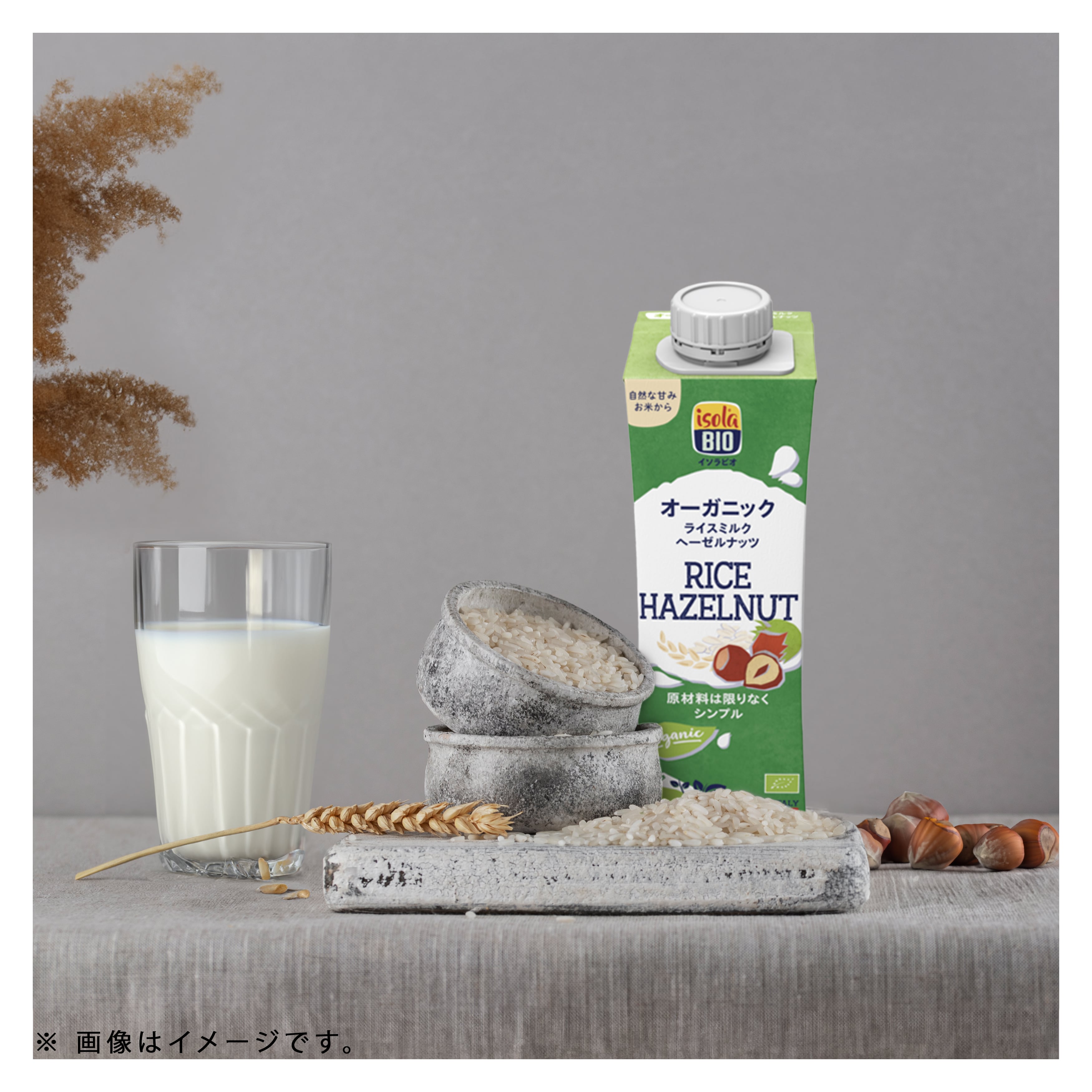 オーガニックライスヘーゼルナッツミルク　250ml／1ケース24本入り【ポイント2倍】