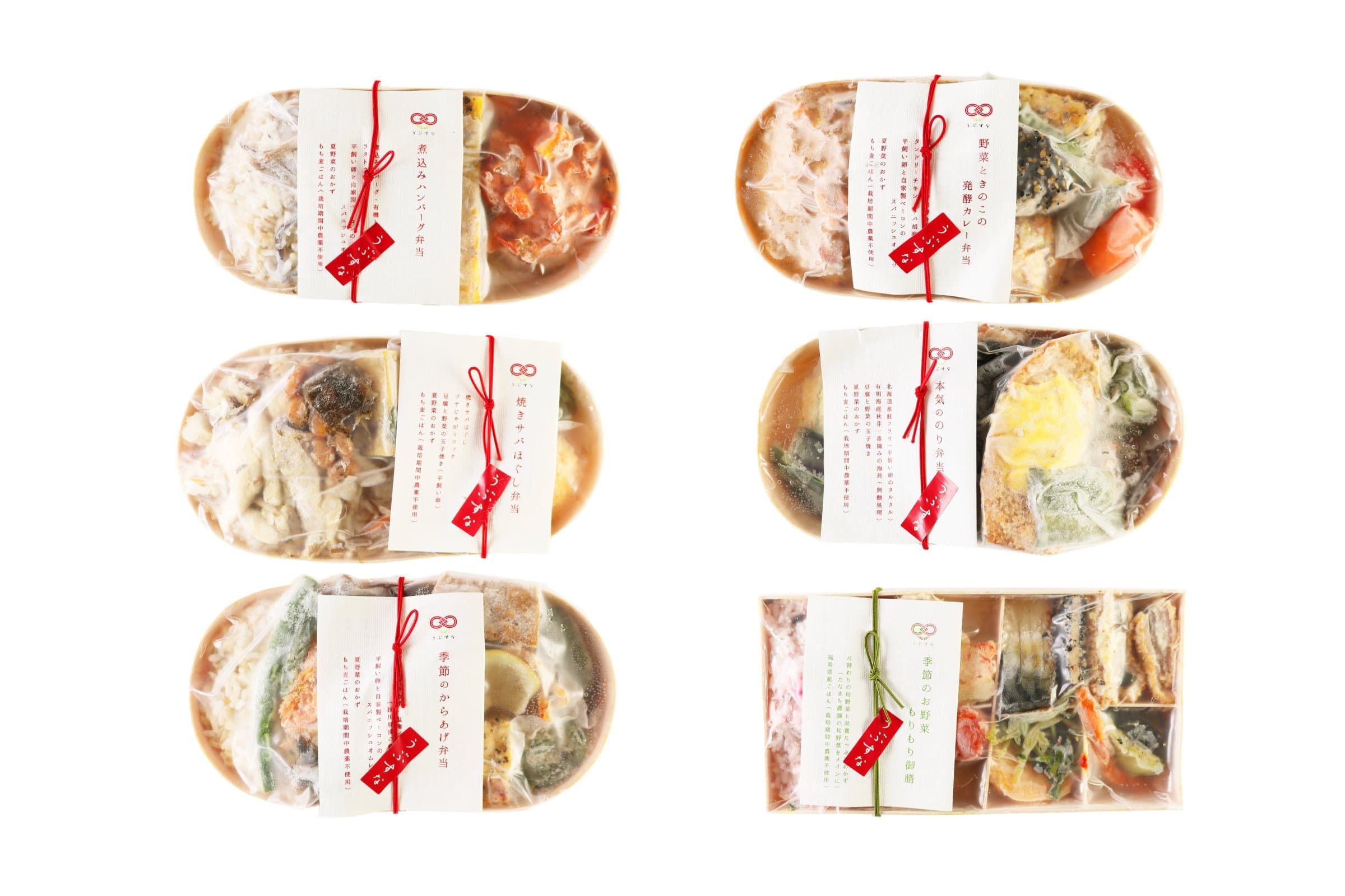 送料無料】うぶすなの冷凍弁当セット6種×各1個 | ビオセボン