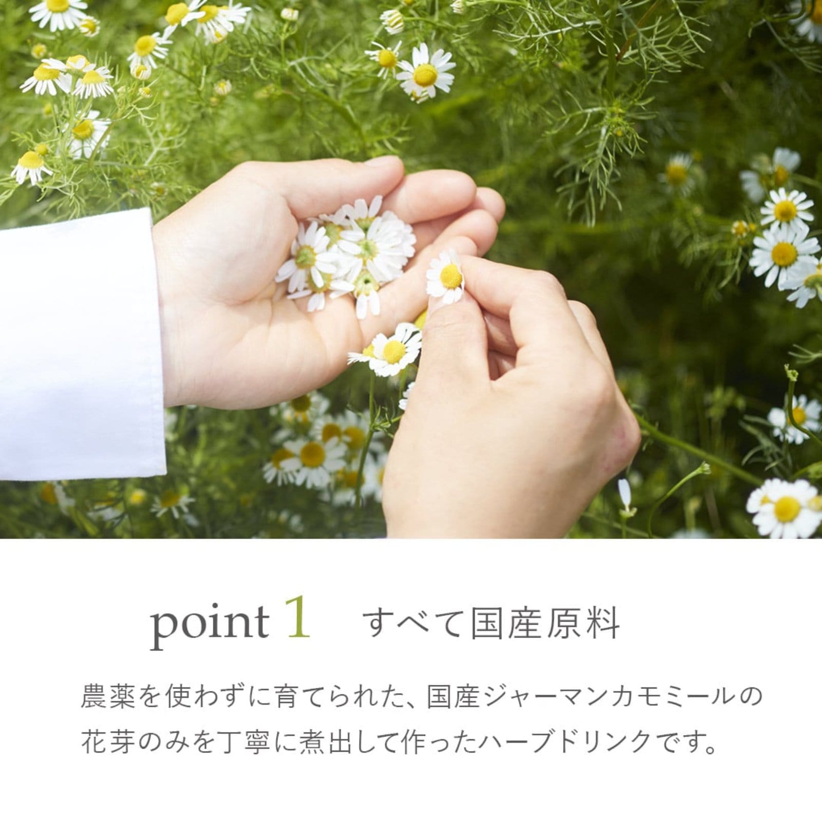 華密恋ドリンク