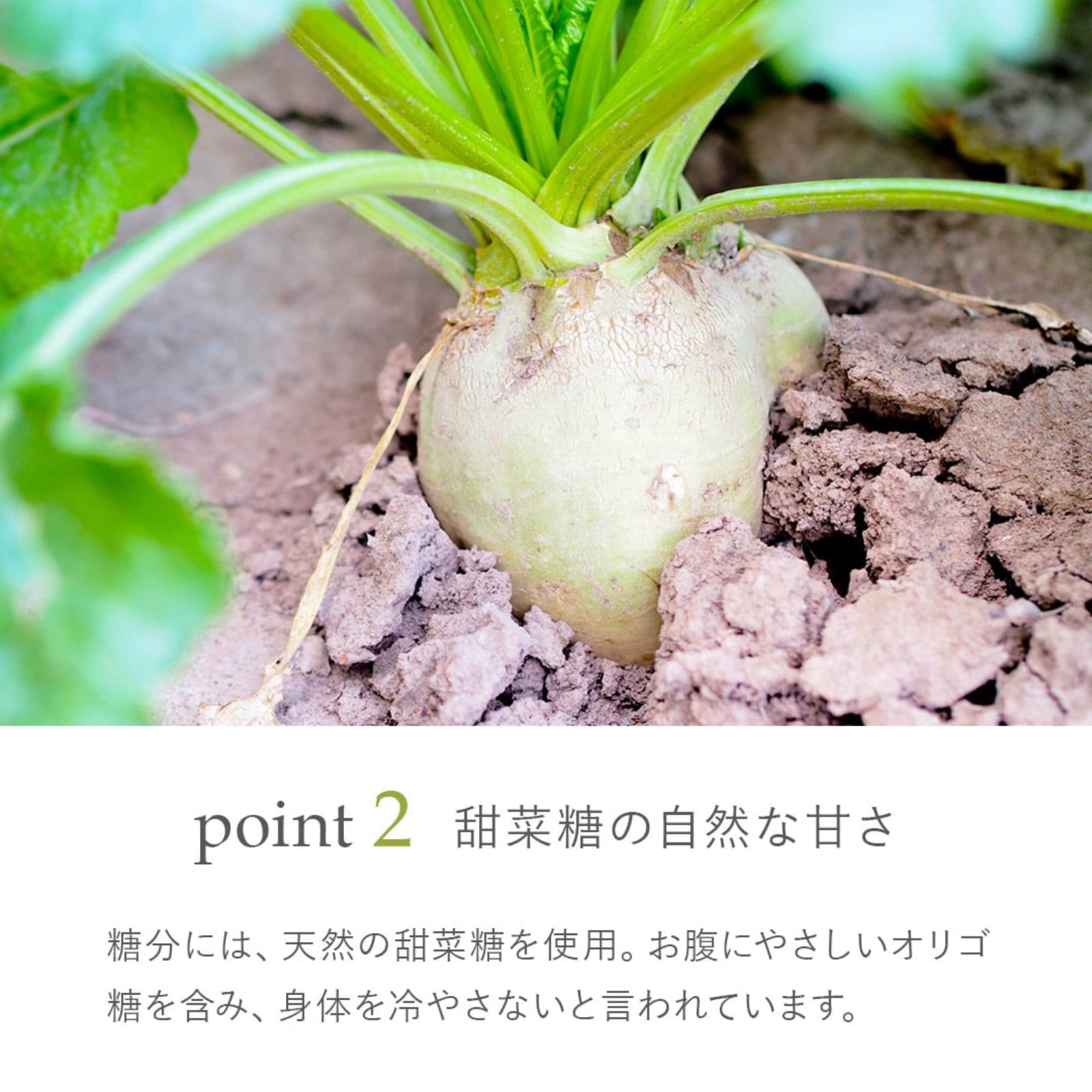 華密恋ドリンク　10本入