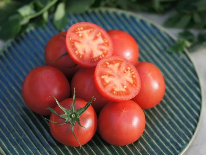 フルーツトマト　800ｇ　有機（C）