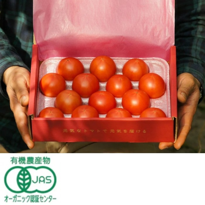 フルーツトマト　800ｇ　有機（C）