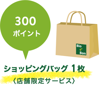 300ポイント ショッピングバッグ1枚